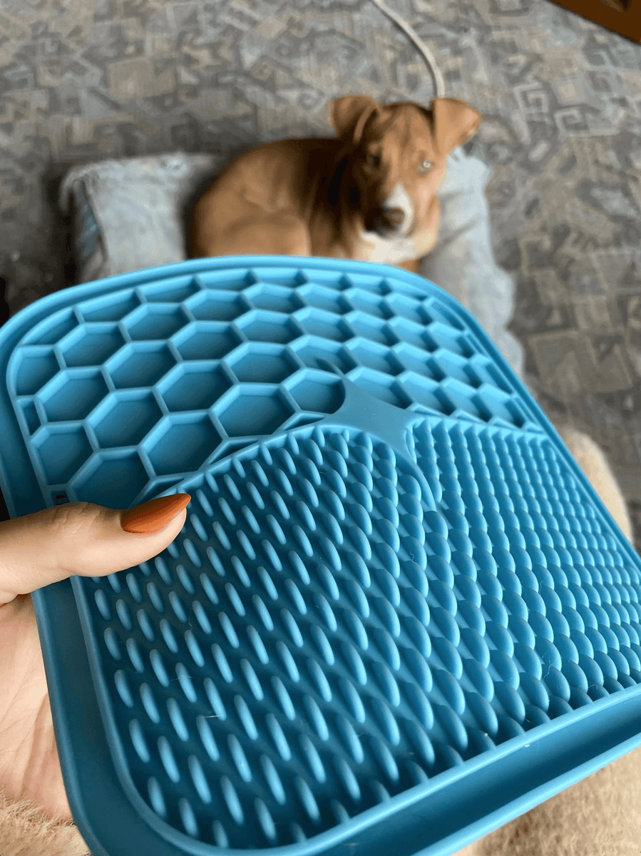 Lick Pad for Dog Cat Slower Feeder Licky Mat for Puppy Kitten Silicone  Dispenser Pet Feeding Licking Mat Bathing Distraction Pad