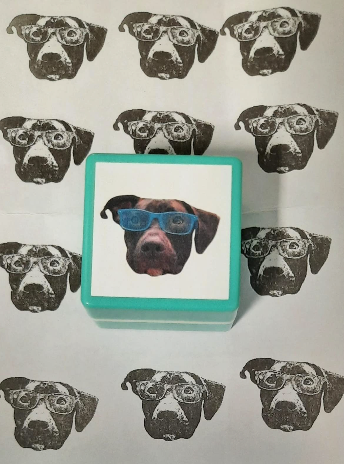 Custom Stamps Self Inking Personalized Pet Photo Portrait Stamps Custom  Face Rubber Stamps, Cute Christmas Birthday Gifts for Pet Lovers, Kids,  Girls
