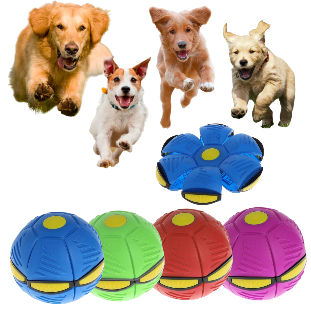 Fun Dog Toy - Ball Treat Holder – Snazzy Fido