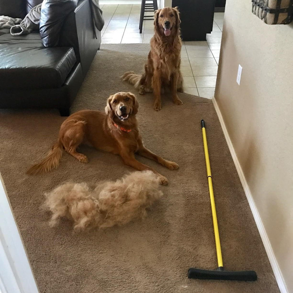 Pet Hair Removal Broom – Silly Doggo
