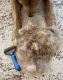 Deshedding Brush Pro™ - Silly Doggo