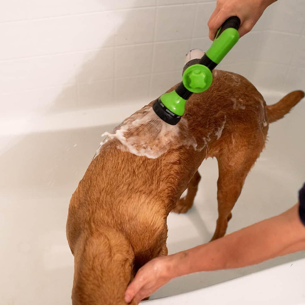Dog Bath Brush - For My Doggo